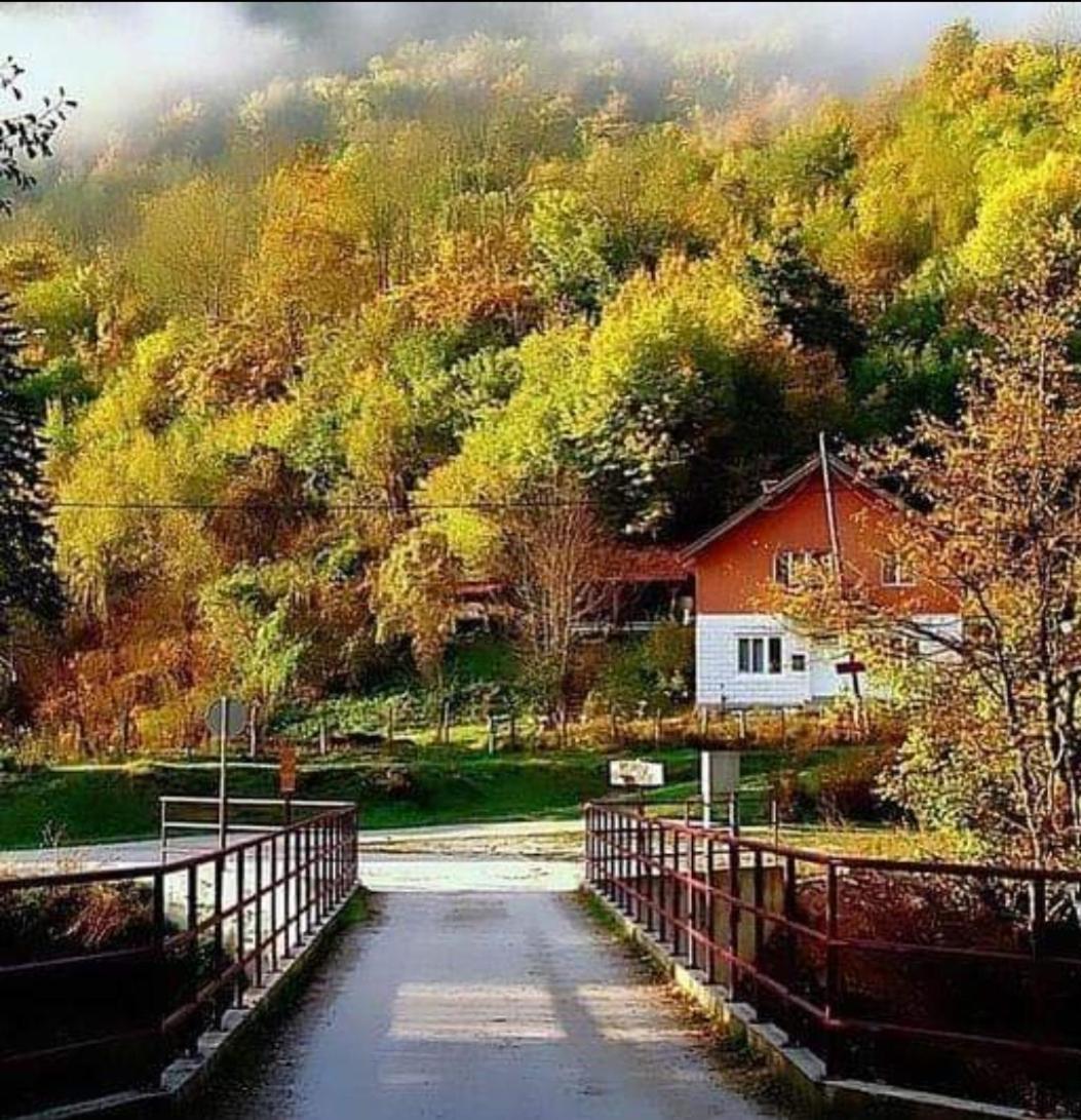 Turisticki Kompleks - Montana Tjentiste Kültér fotó