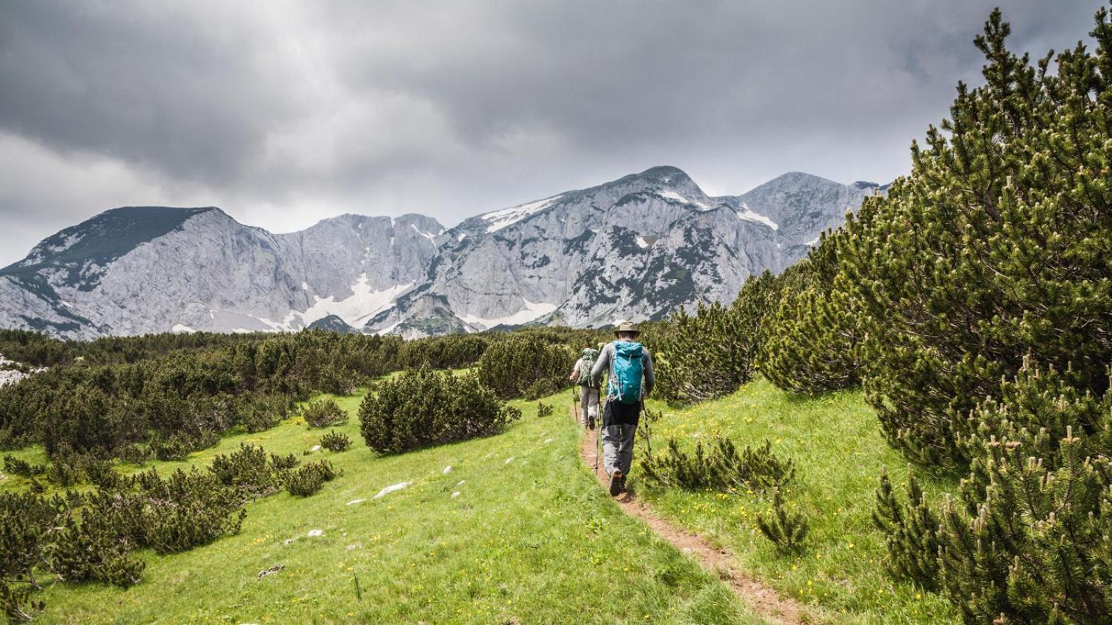 Turisticki Kompleks - Montana Tjentiste Kültér fotó